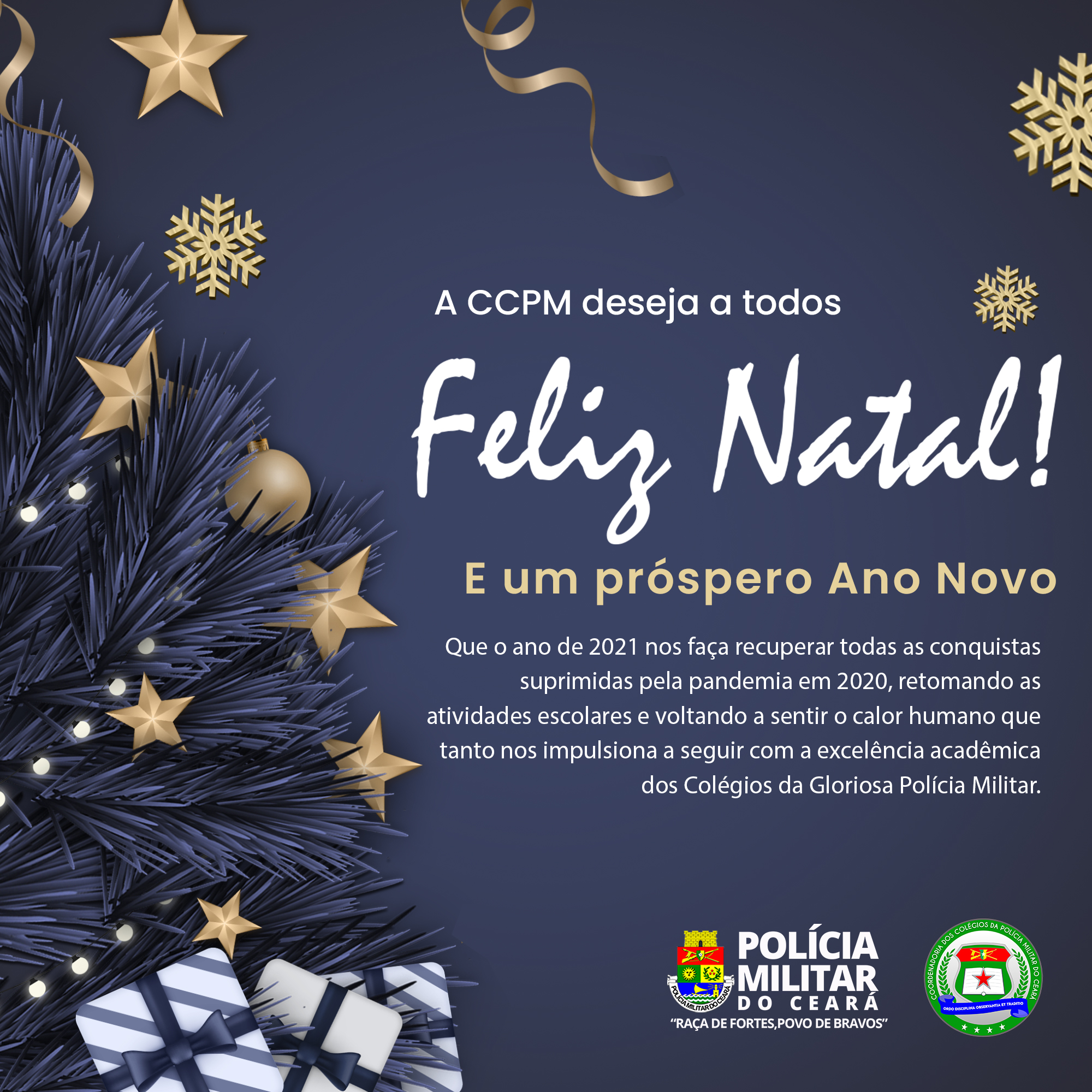 Feliz Natal e próspero Ano Novo! - Diretoria de Gestão de